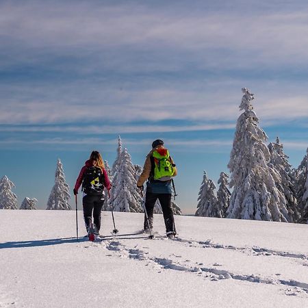 Schwarzwaldhorst Fewo 2 - Mit 4 Schlafzimmer - Todtnau, Liftverbund Feldberg Kültér fotó