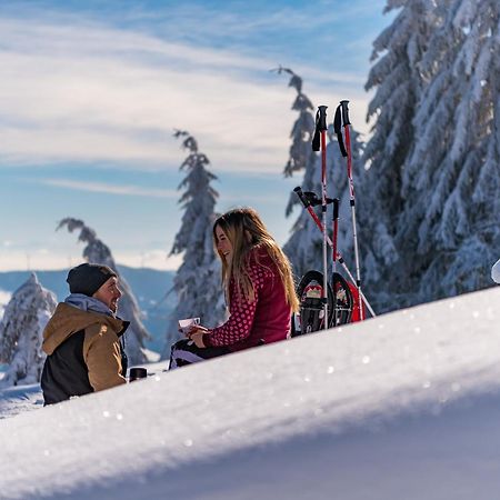 Schwarzwaldhorst Fewo 2 - Mit 4 Schlafzimmer - Todtnau, Liftverbund Feldberg Kültér fotó