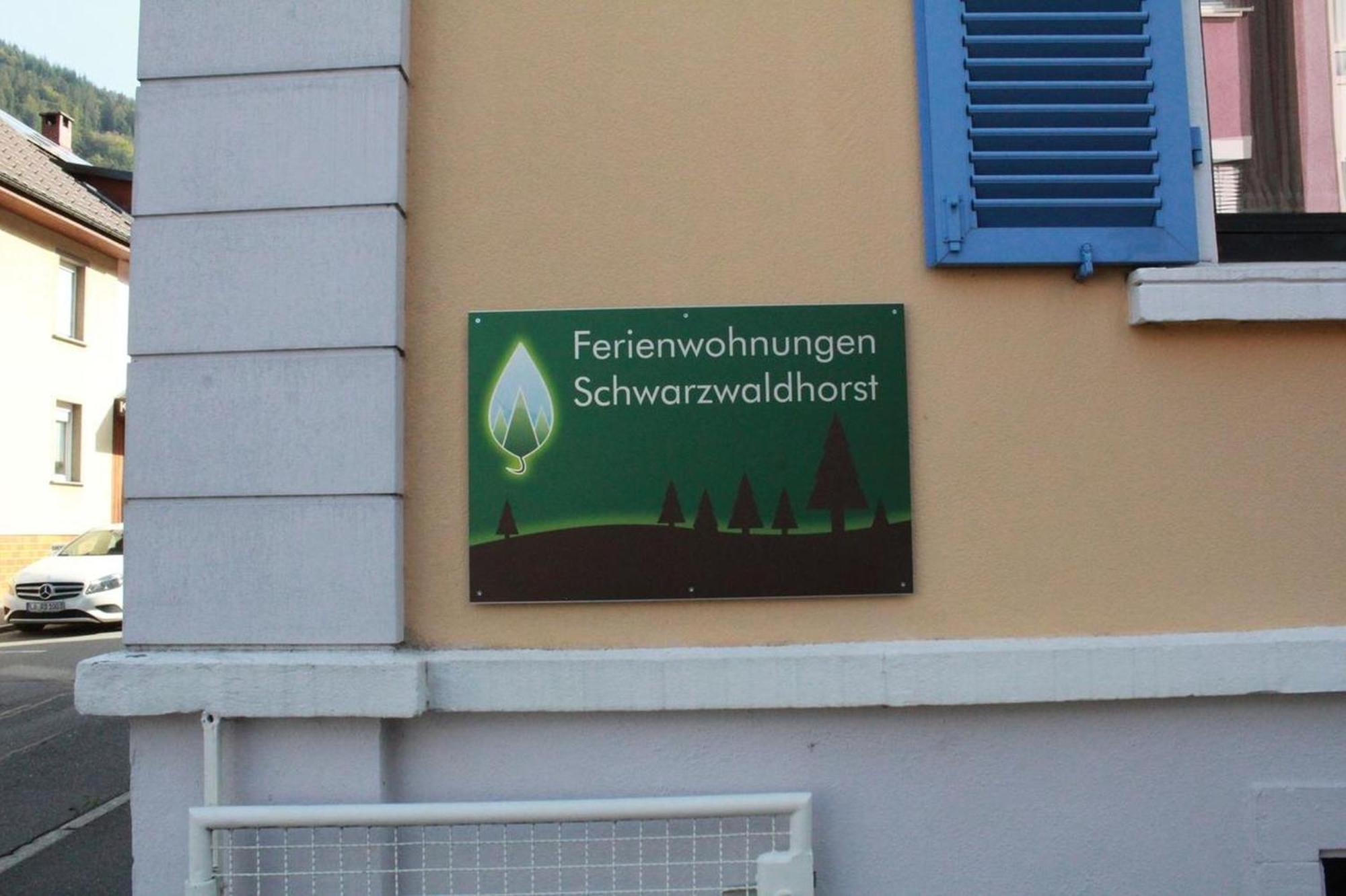 Schwarzwaldhorst Fewo 2 - Mit 4 Schlafzimmer - Todtnau, Liftverbund Feldberg Kültér fotó