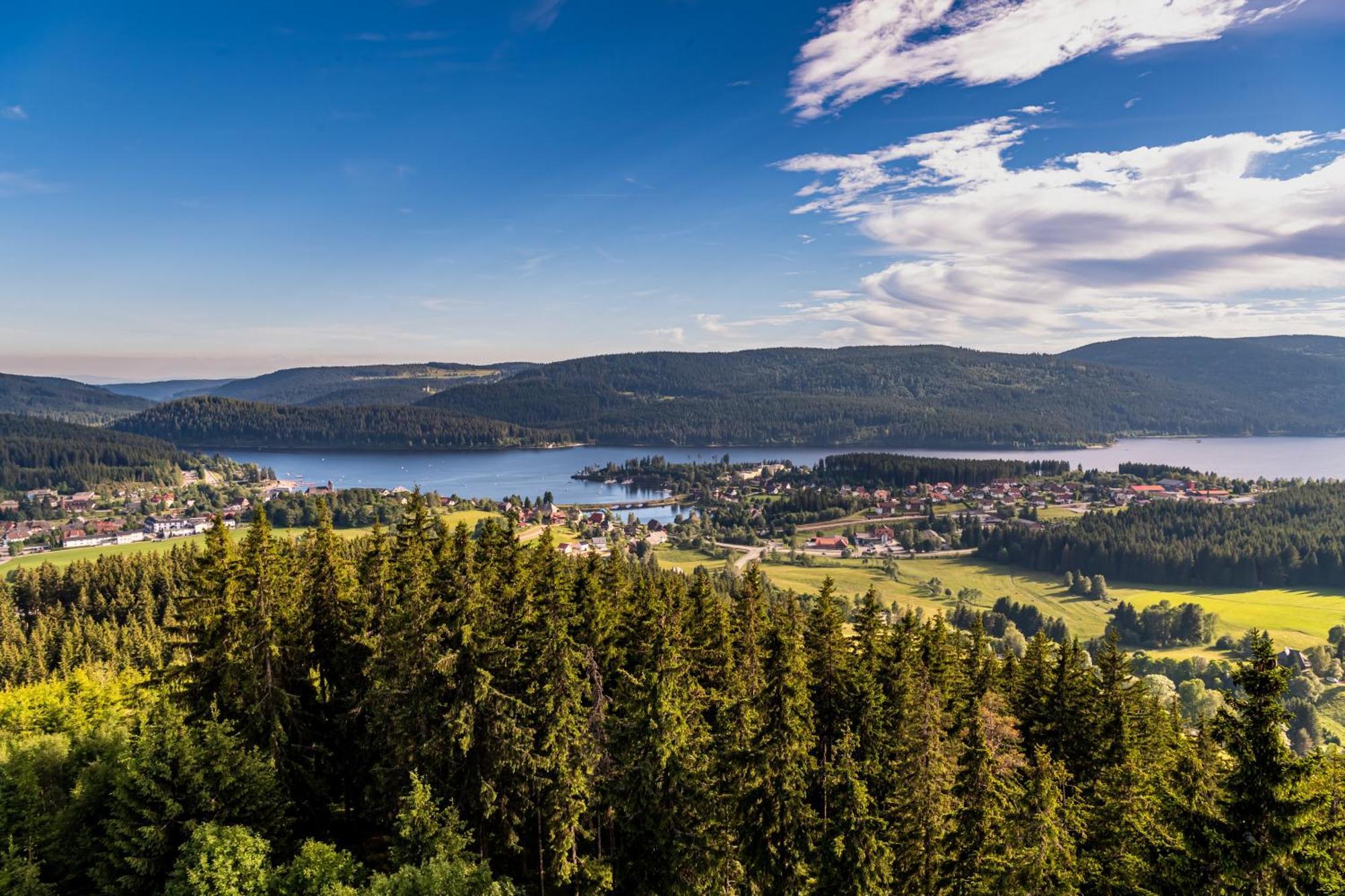 Schwarzwaldhorst Fewo 2 - Mit 4 Schlafzimmer - Todtnau, Liftverbund Feldberg Kültér fotó