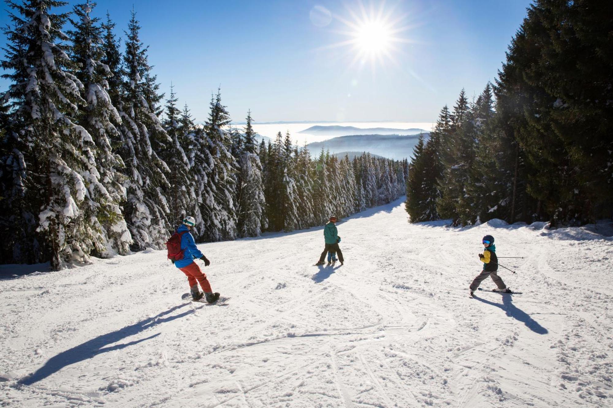 Schwarzwaldhorst Fewo 2 - Mit 4 Schlafzimmer - Todtnau, Liftverbund Feldberg Kültér fotó