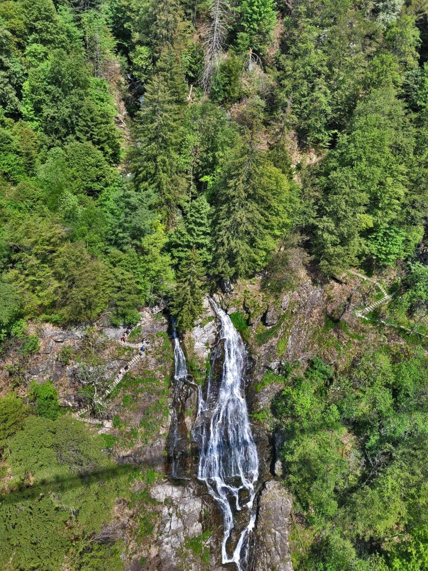 Schwarzwaldhorst Fewo 2 - Mit 4 Schlafzimmer - Todtnau, Liftverbund Feldberg Kültér fotó